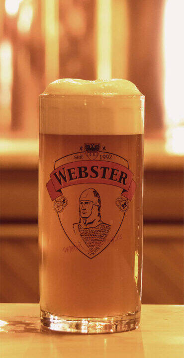 Webster Braun 1 L Nachfüllung